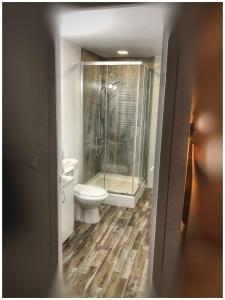 阿列谢尼WildGlampingArieseni的一间带卫生间和玻璃淋浴间的浴室