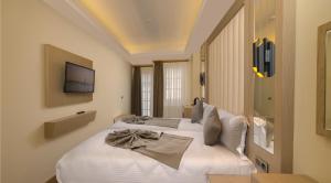 伊斯坦布尔Asilzade Hotel Sirkeci的一间卧室设有两张床,墙上配有电视。