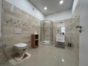 卡罗维发利麦东娜公寓的带淋浴、卫生间和盥洗盆的浴室
