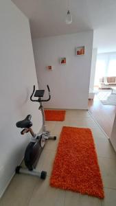 普里什蒂纳Street C apartment nr 1的一间设有健身自行车和橙色地毯的房间
