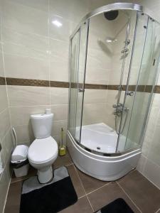 乔克-塔尔Коттедж Чок-Тал Цо Париж 2的一间带卫生间和淋浴的浴室
