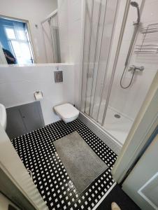 波兹南阿帕特门特朵酒店的带淋浴和卫生间的浴室以及地毯。