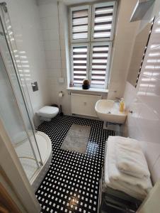 波兹南阿帕特门特朵酒店的带淋浴、盥洗盆和卫生间的浴室