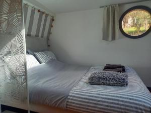 梅斯Appartement atypique indépendant sur péniche的一间卧室配有一张带镜子的双层床