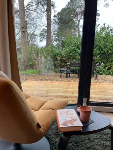 Ultiem ontspannen in luxe en design ingericht tiny house in bosrijke omgeving