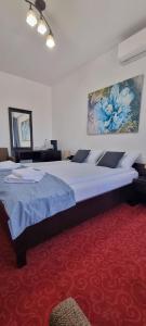 百乐费利克斯RIA Room - Apartemente 9的一间卧室配有一张大床和红地毯