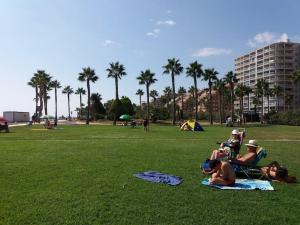 博尔瑟拉尔Primera línea de playa, pies en la arena的一群人躺在公园的草地上