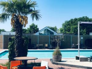 雷讷瑟Camping Hotel Renesse的一个带两棵棕榈树和桌子的游泳池