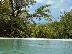 维兰库卢什VillaTwo@Tsai-Tsai的一座种有树木的游泳池,一座背景为大海的游泳池