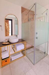 米哈斯OPUNTIA Hotel Boutique的一间带玻璃淋浴和水槽的浴室
