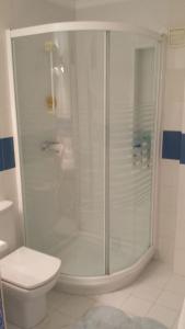 格拉纳达Blue Horizon Apartment的带淋浴和卫生间的浴室