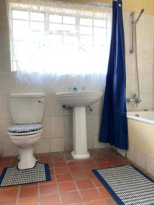 KhemsbokKalahari Homestead的一间带卫生间和水槽的浴室