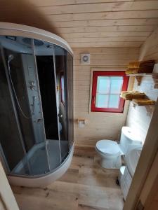 StokrooieMargaux B&B Babbita的带淋浴和卫生间的小浴室