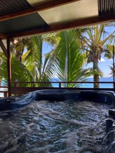 圣安德烈Les îlots du soleil levant的棕榈树的热水浴池