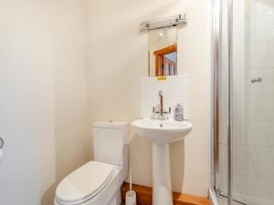 Clay Cross老戴利乡村小屋的白色的浴室设有卫生间和水槽。