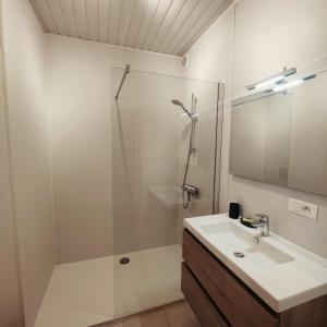 尼乌波特Stijlvol appartement met zeezicht Nieuwpoort的一间带水槽和淋浴的浴室