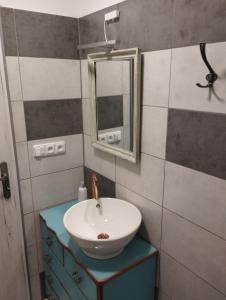 ZdiceApartmány Svatá的一间带水槽和镜子的浴室
