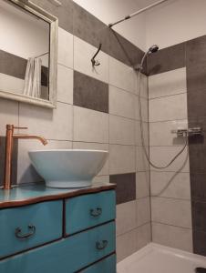 ZdiceApartmány Svatá的一间带水槽和淋浴的浴室