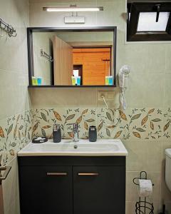 哥里Chateau Ateni Cottages的一间带水槽和镜子的浴室