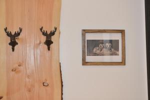 拉克吕萨Les bouquetins的墙上有鹿头的白色墙壁