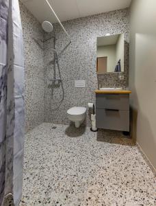 雷克雅未克Iceland SJF Apartments - 401的一间带卫生间、水槽和镜子的浴室