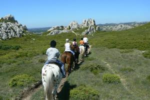 莫桑莱阿尔皮莱Hotel Terriciaë Maussane的一群在山坡上骑马的人