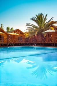 Calle LargaBarros Wellness & Spa Resort Boutique的一个棕榈树背景的大型游泳池