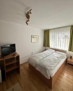 蒂米什瓦拉Georgiana Apartments 2的一间卧室配有一张床和一台平面电视