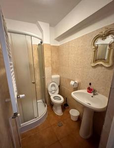 蒂米什瓦拉Georgiana Apartments 2的带淋浴、卫生间和盥洗盆的浴室
