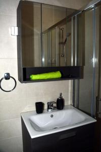 斯马尔诺Hiša v Travniku的浴室水槽设有镜子和绿毛巾