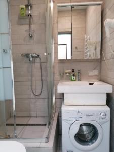 基辅Посуточно мини-студия метро Дорогожичи Киев的带淋浴和洗衣机的浴室