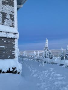 索特Tunturihuoneisto LAAKEUS的一座有树木和建筑物的雪覆盖的院子