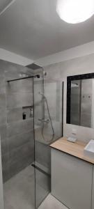 缅济热奇Apartament na Malczewskiego的带淋浴、水槽和镜子的浴室