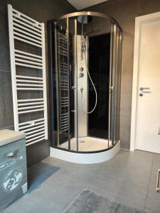 韦姆Chambre d'hôtes Lanonweye的浴室里设有玻璃门淋浴