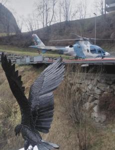 StaldenBlackRock的鸟的雕像,有翅膀和直升机