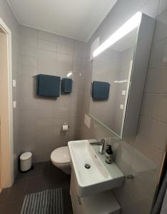 苏黎世Swiss Art Apartment City Center的一间带水槽、卫生间和镜子的浴室