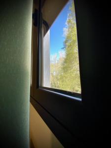 阿雷纳斯德圣佩德罗Mi Refugio的窗户,享有树景