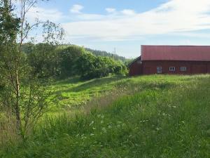 塔努姆斯海德Orrekläpp的田野旁小山上的一个红谷仓