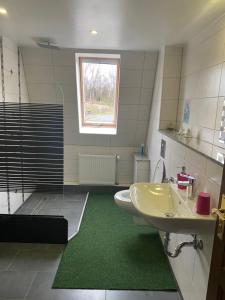 德累斯顿Zimmervermietung Abir的一间带水槽、卫生间和淋浴的浴室