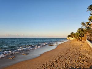 圣胡安Alejandra的棕榈树和海洋的沙滩