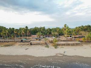 拉斯拉哈斯Johnny Fiestas的棕榈树沙滩和度假村