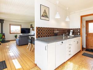 沃尔丁堡Holiday home Vordingborg X的一个带水槽的厨房和一间客厅