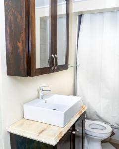 San JuanFrancis Nook Belle Garden Room的一间带水槽和木制橱柜的浴室