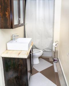 San JuanFrancis Nook Belle Garden Room的一间带水槽和卫生间的浴室