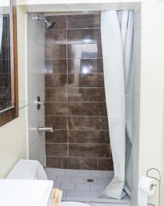 San JuanFrancis Nook Belle Garden Room的带淋浴和卫生间的浴室