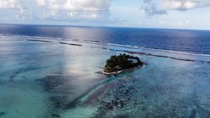 PatioEDEN Private Island TAHAA的海洋中的一个岛屿