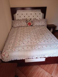 亚的斯亚贝巴Fully furnished condo in the center of addis ababa的睡在床上的泰迪熊