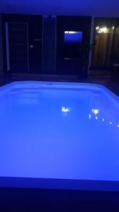 里尔奥利吉尼酒店的深色客房内的大蓝色浴缸