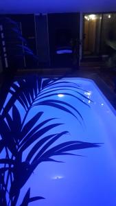 里尔奥利吉尼酒店的一座房子里一个拥有蓝色灯光的游泳池