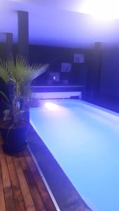里尔奥利吉尼酒店的室内的游泳池,两株植物